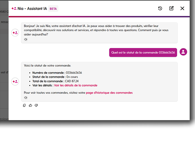 Interface de l'assistante IA, NIA, sur la page de produits d'Insight.ca