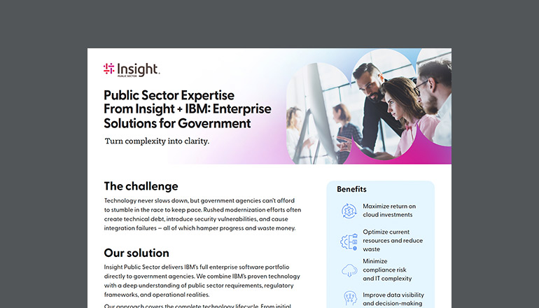 Article Insight Public Sector and IBM: Enterprise Solutions for Government Image
