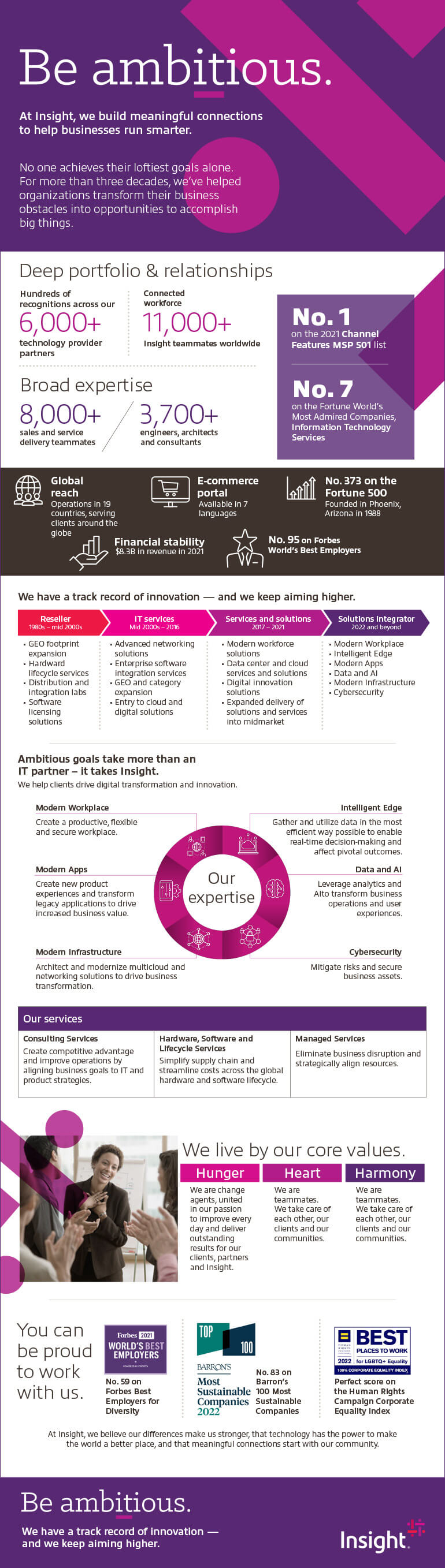 Insight Company Overview Infographic