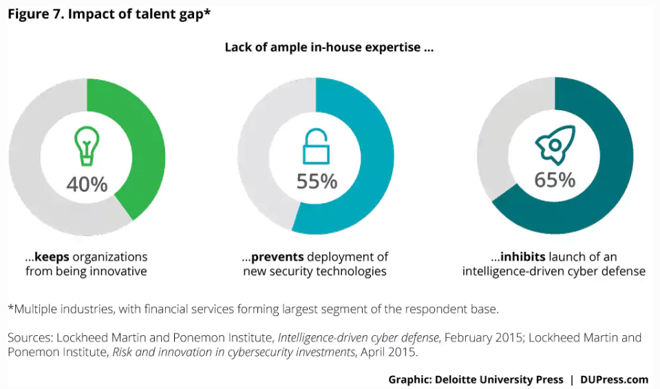 Pie chart displaying the lack of expertise