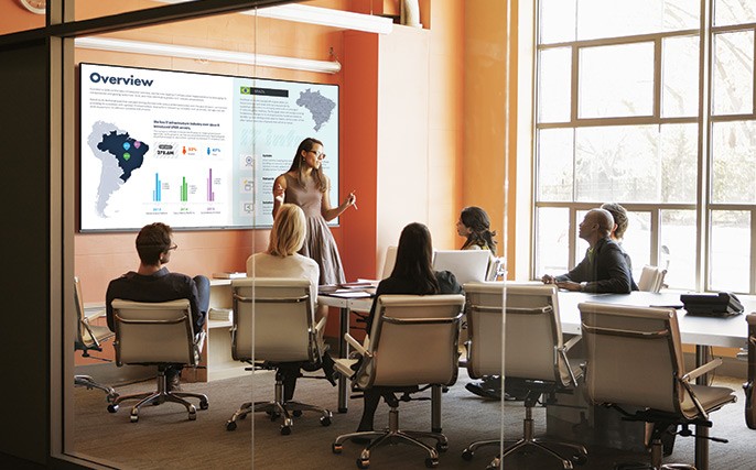 An executive discussing a overview of a project