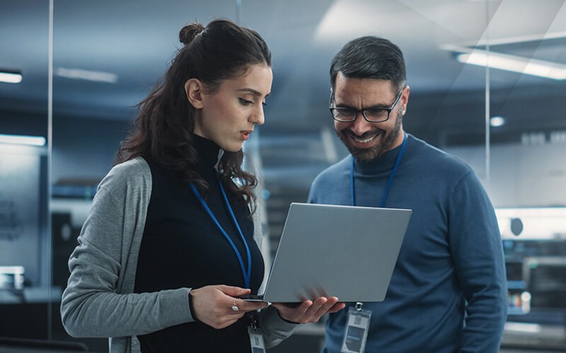 Professionals using laptop