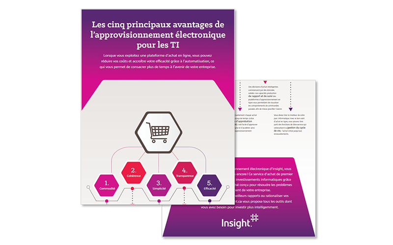 myinsight-infographic-thumb-FR