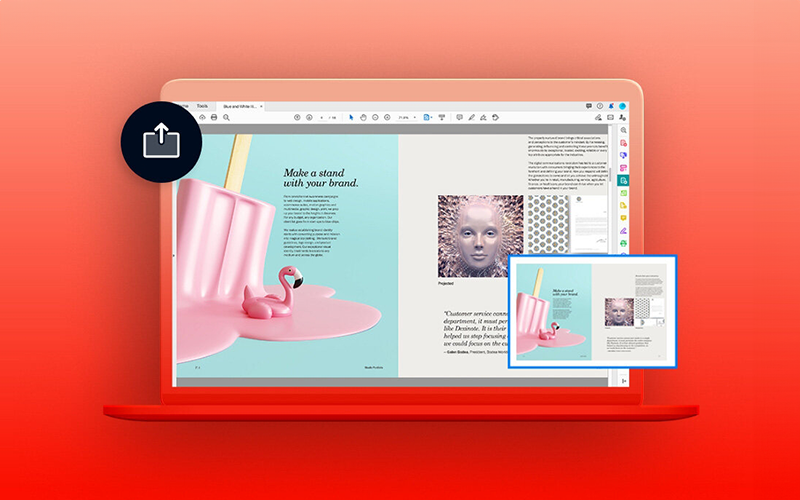 Adobe Acrobat Pro